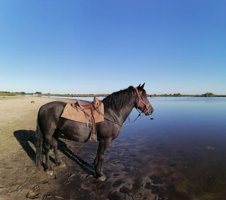 Gite A Saint Andre Des Eaux Εξωτερικό φωτογραφία