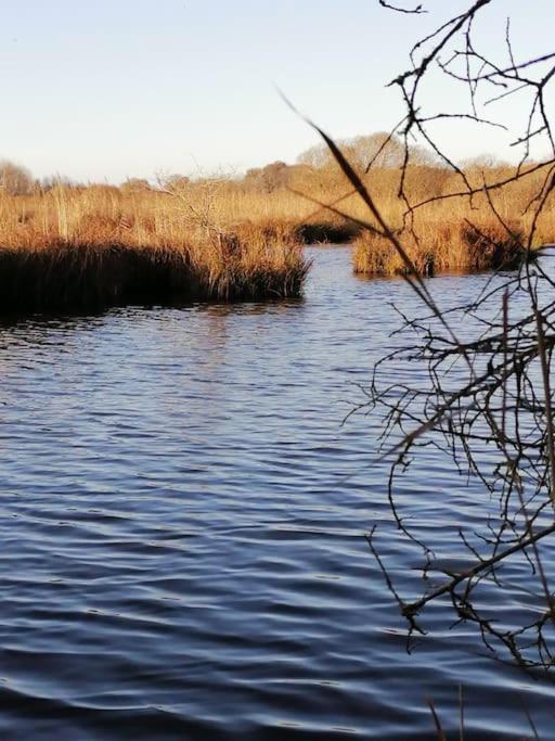 Gite A Saint Andre Des Eaux Εξωτερικό φωτογραφία